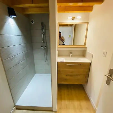 Apartment Sun Mezzanine Sainte-Foy-les-Lyon
